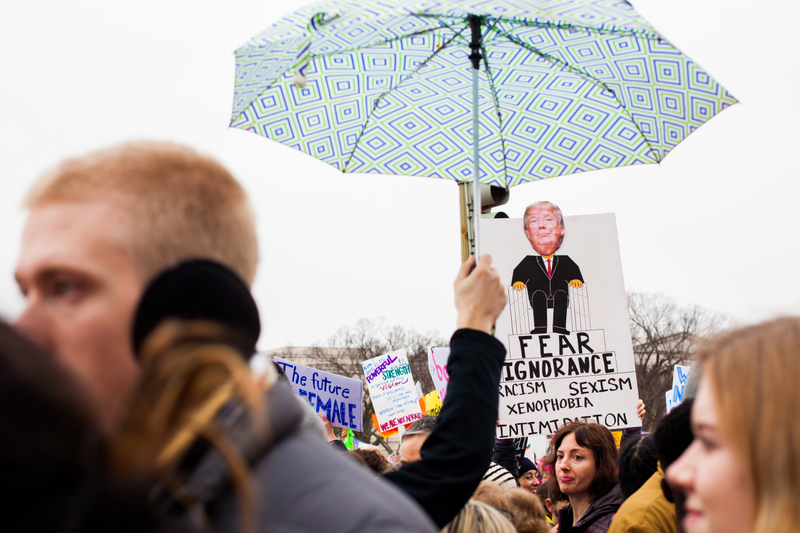 Illustration for article titled WOMEN'S MARCH ON WASHINGTON : THE SIGNS
